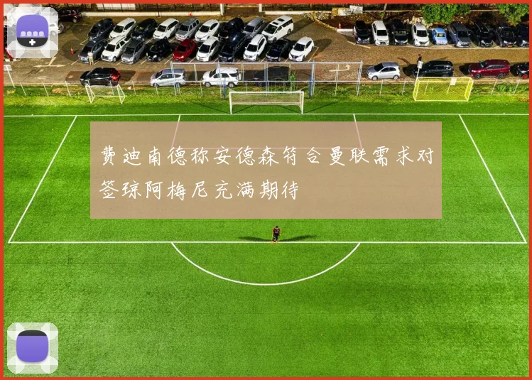费迪南德称安德森符合曼联需求对签琼阿梅尼充满期待
