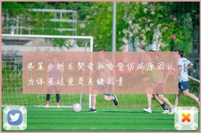 弗莱分析东契奇和哈登伤病原因认为体重过重是关键因素