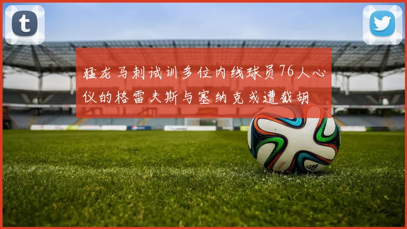 猛龙马刺试训多位内线球员76人心仪的格雷夫斯与塞纳克或遭截胡